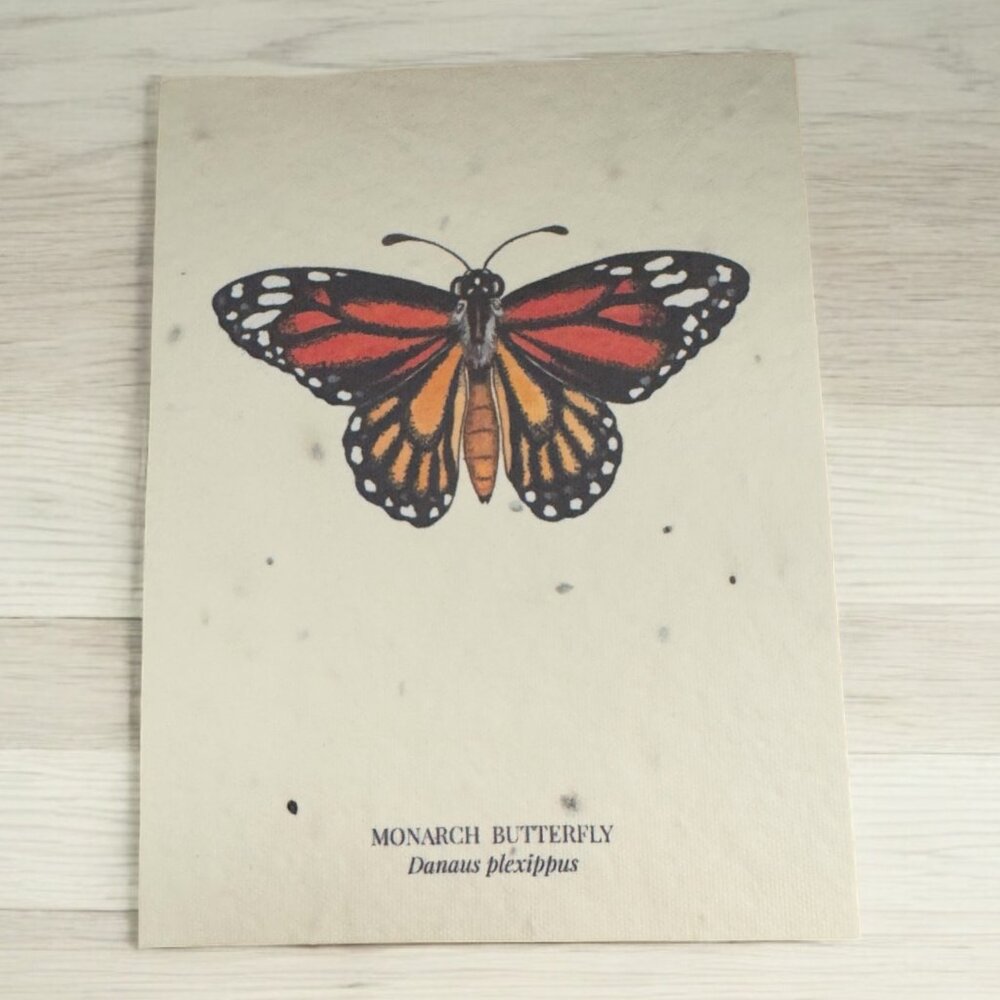 Monarch Butterfly Plantable Wildflower Seed Greeting Card